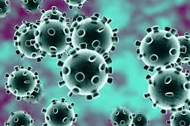 Informatie over het coronavirus - Tragel